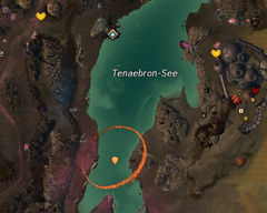 Sucht Tenaebron-See mit den Schildwächtern ab Karte.jpg