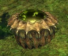 Großes Dschungelwurm-Ei.jpg