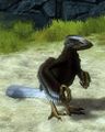 Adlerraptor
