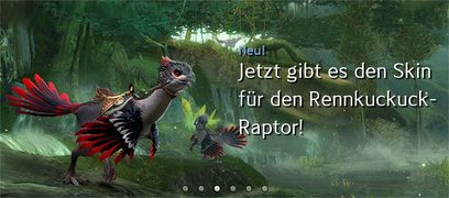 Rennkuckuck-Raptor-Skin Werbung.jpg