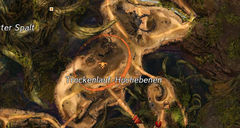 Besiegt den Veteran Steinkopf Karte 2.jpg