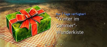 "Winter im Sommer"-Wunderkiste Werbung.jpg