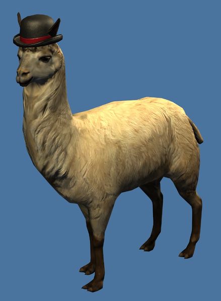 Datei:Schickes Mini Lama.jpg