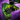 Heart of Thorns-Gleitschirm Icon.png