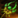 Jade-Tech-Stab Icon.png