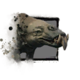 Junger Siamoth Icon.png