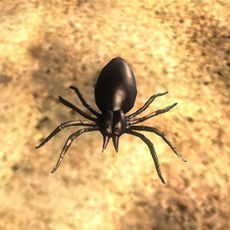 Mini Gruselspinne.jpg