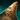 Süßwasserhai-Zahn Icon.png