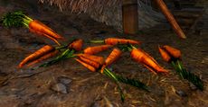 Karottenhaufen.jpg