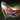 Fischkadaver (Kristalloase) Icon.png