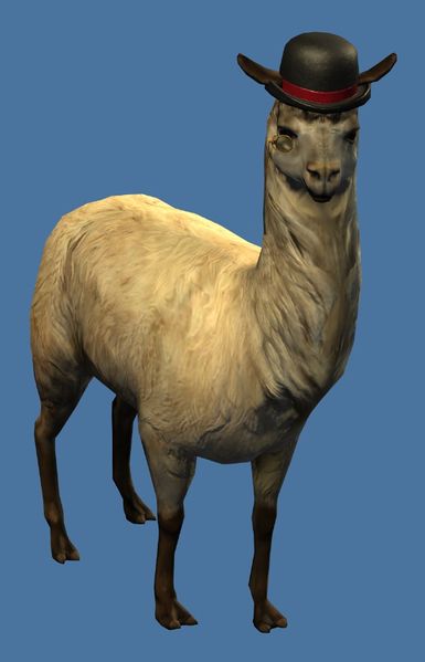 Datei:Elegantes Mini Lama.jpg