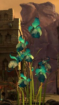 Blaue Orchidee im Topf.jpg