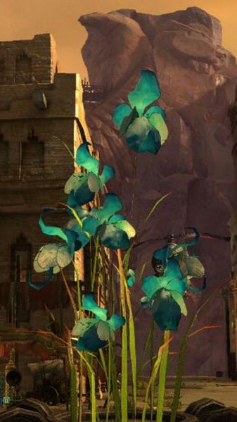 Datei:Blaue Orchidee im Topf.jpg
