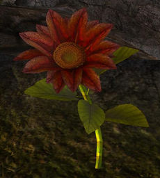 Rote Sonnenblume (Objekt).jpg
