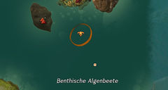 Besiegt Flauschi, den riesigen Tiergefährten von Aquabasis Terror-Sieben Karte.jpg