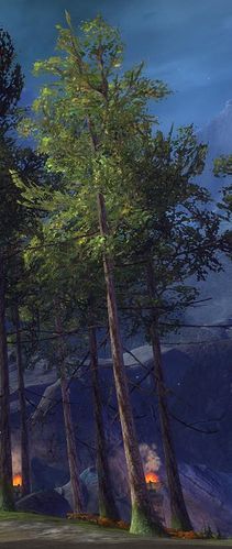 Verdächtiger Baum (Borealis-Wald).jpg