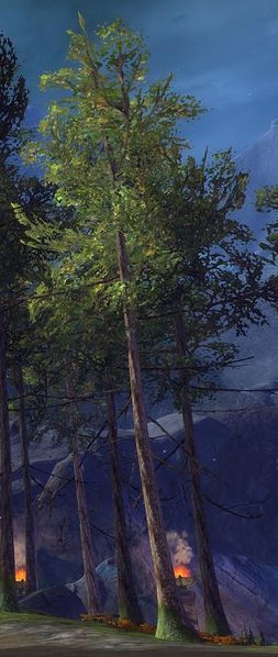 Datei:Verdächtiger Baum (Borealis-Wald).jpg