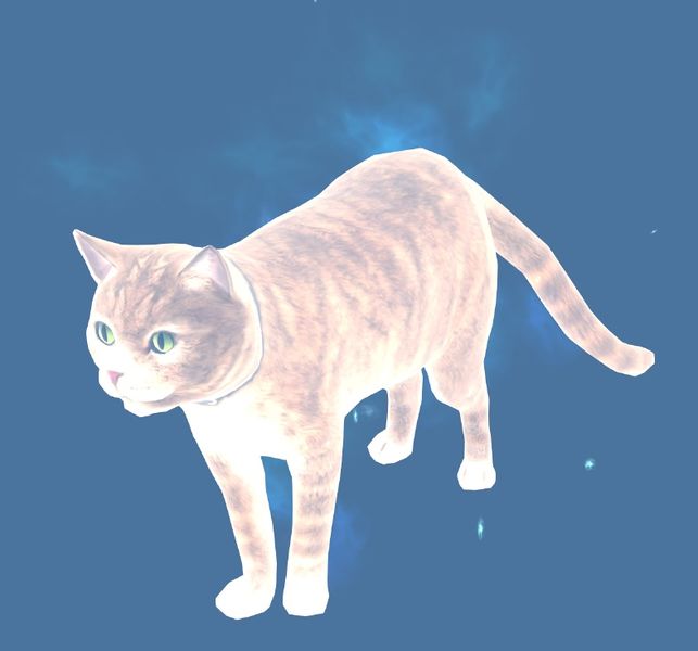 Datei:Mini Geisterhafte Katze.jpg
