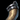 Kriegshorn-Marke Icon.png