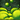 Grünes Feuerwerk (Drachen-Gepolter) Icon.png