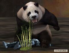Permanenter Panda-Todesstoß.jpg