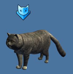 Mini Blauer Katzenkommandeur.jpg