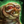 Mini Faultierion Icon.png