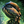 Mini Kobalter Großer Dschungelwurm Icon.png