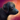 Mini Schwarzer Labrador Icon.png