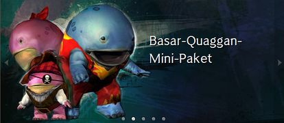 Basar-Quaggan-Mini-Paket Werbung.jpg