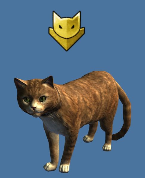 Datei:Mini Gelber Katzenkommandeur.jpg