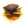 Erfolg Path of Fire 1. Akt Icon.png
