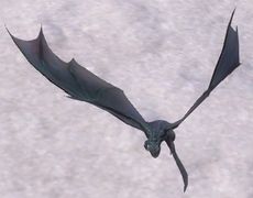 Mini Vampirfledermaus.jpg