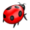 Bug Icon.png