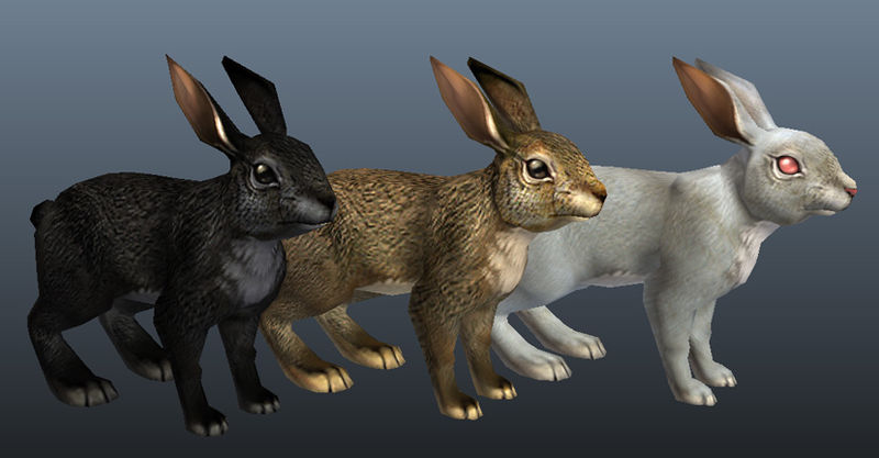 Datei:Kaninchen-Typen.jpg