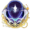 Erfolg Rissjagd Icon.png