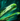 Angreifen (Grüne Kröte) Icon.png